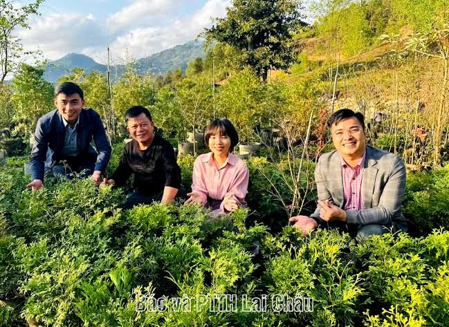 Ảnh minh họa bài viết